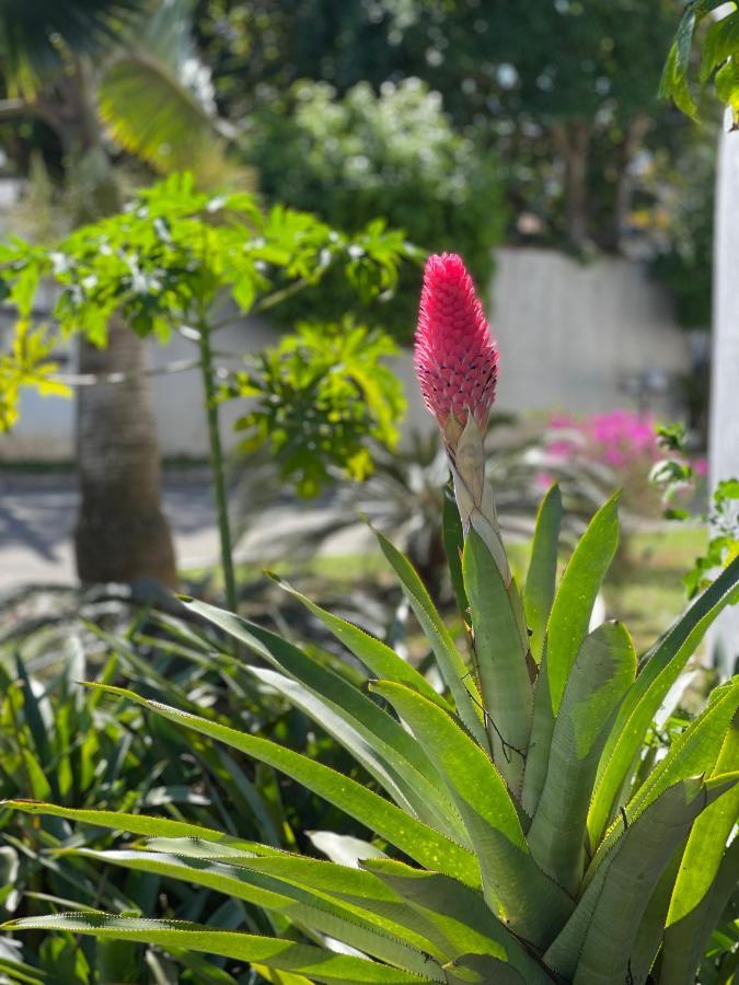 Buzios House Villa ภายนอก รูปภาพ